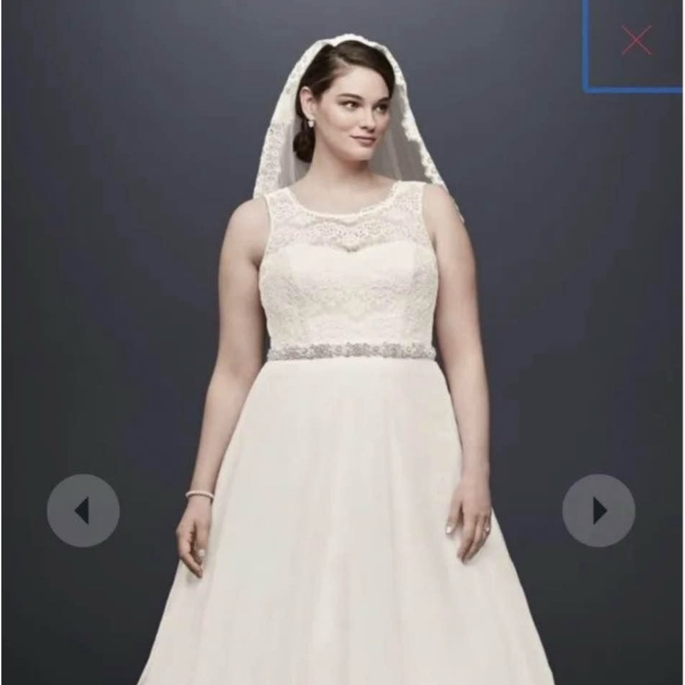 NWT - Ivory David’s Bridal wedding dress  18w